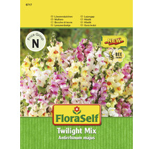 FloraSelf Lejongap Twilight Mix fröförpackning