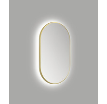 Oval spegel med belysning