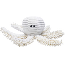 Mjukdjur bläckfisk med åtta armar