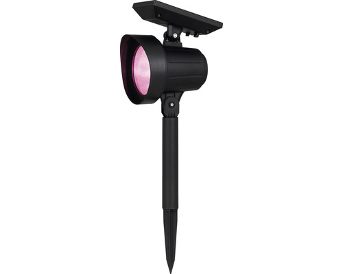 Solstrålkastare med markspett och rosa ljus