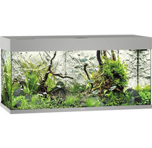 Akvarium med växter, stenar och fiskar