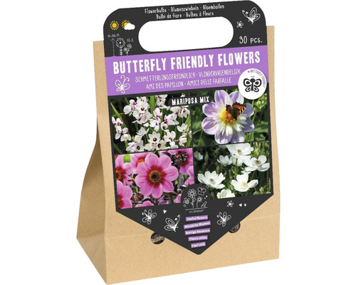 Blomsterlökar Pick-up påse fjärilsvänlig Mariposa mix 30st