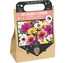 Blomsterlökar, bivänliga blommor Maya Mix, 3 stycken