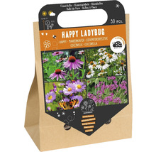 Blomsterlökar Happy Ladybug, 30 stycken