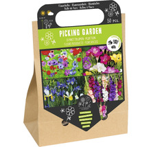 Förpackning blomsterlökar för snittblommor