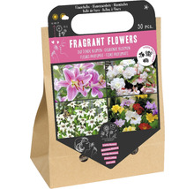 Förpackning blomsterlökar med doftande blommor, 30 stycken