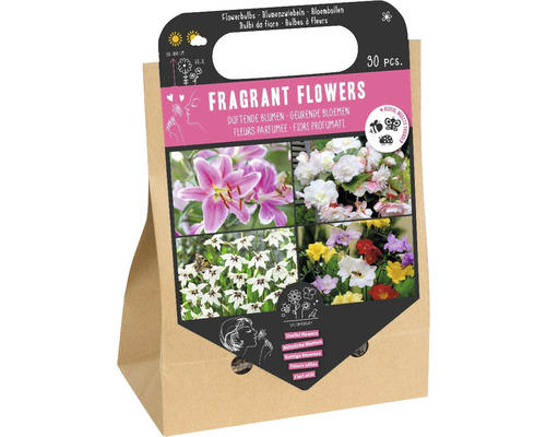 Blomsterlökar Pick-up påse Doftande blommor 30st