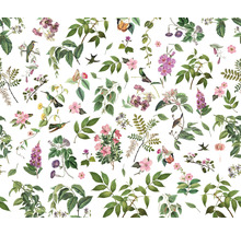 Illustration med olika blommor, blad och djur