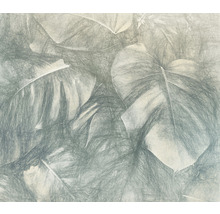 Illustration av tropiska blad