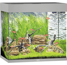 Dekorativt akvarium med fiskar, växter och stenar
