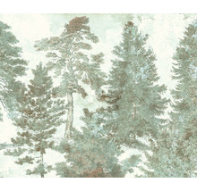 Illustration av en skog med barrträd