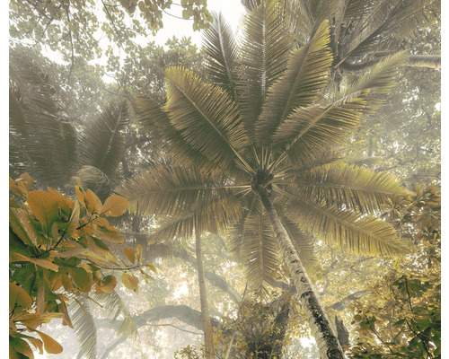 Fototapet KOMAR palms panorama 3-del