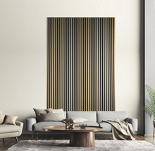 Akustikpanel ek natur 19x572x2400 mm