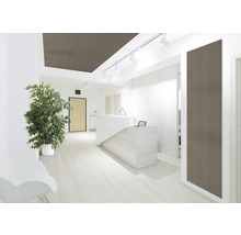 Akustikpanel ek natur 19x572x2400 mm