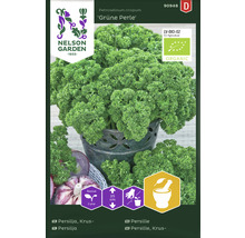 Ekologiska kruspersiljefrön NELSON GARDEN Grüne Perle Organic