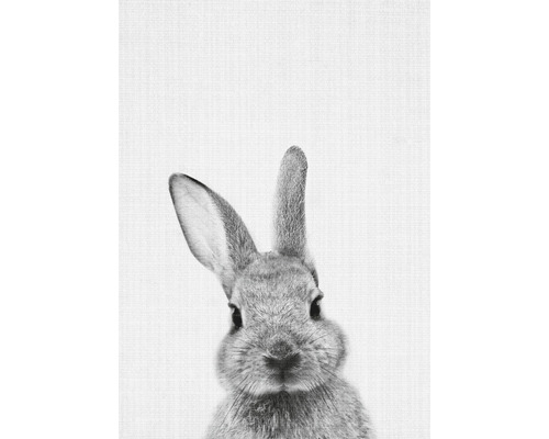 Vykort Print 4 Vykort Print 4