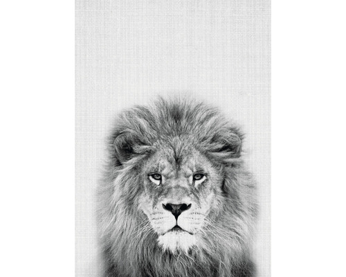 Vykort Lion