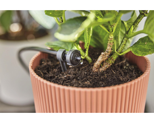 Bevattningssystem för krukväxt i användning