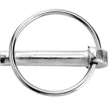 Bult med ring för fastsättning