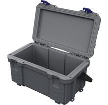 Öppen grå kylbox