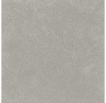 Utomhusklinker FLAIRSTONE Granitkeramik Skyfall beige 2x60x60 cm