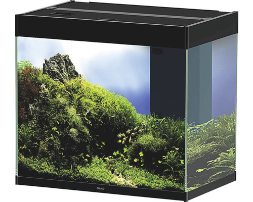 Inrett akvarium med lock