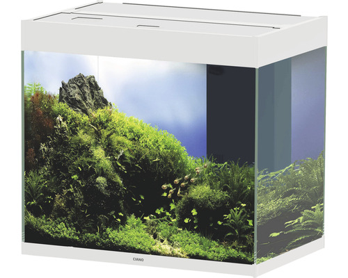 Vitt akvarium med växter, fiskar och stenar