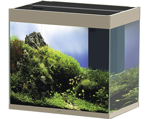 Inrett akvarium med växter och stenar