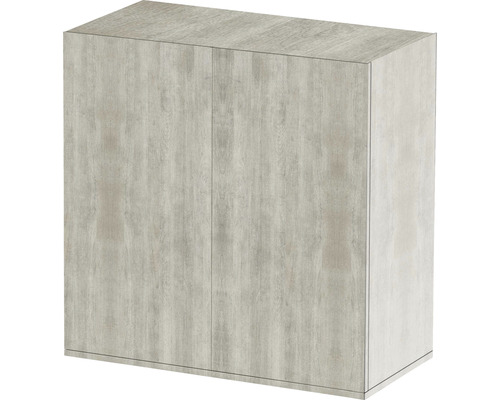 Väggskåp med två dörrar