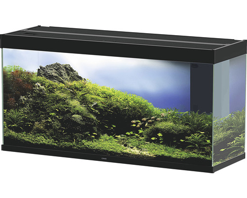 Inrett akvarium med växter och fiskar