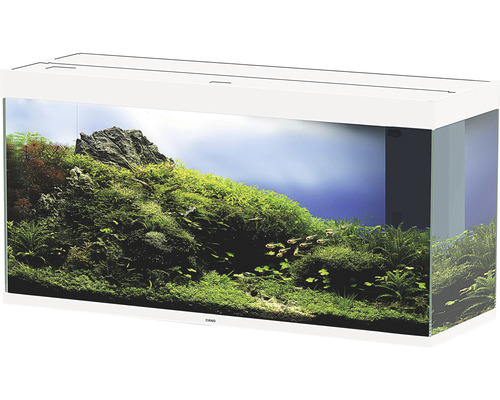 Akvarium med fiskar, växter och stenar