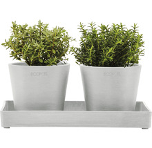 Krukfat ECOPOTS 25x15x2,5cm vitgrå
