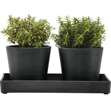 Krukfat ECOPOTS 25x15x2,5cm mörkgrå