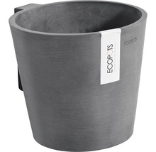 Grå blomkruka med fäste