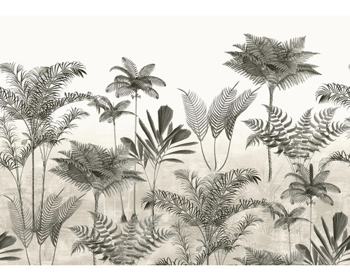 Fototapet RASCH Grass Mark grå 7 delar 2,65x3,71m Illustration av palmer och ormbunkar som väggdekoration
