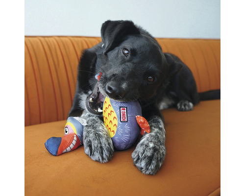 En svart hund leker med en Kong Dodo hundleksak på en soffa.