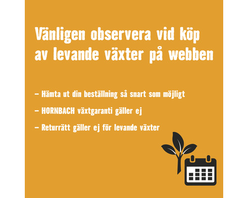 Vänligen observera vid köp av levande växter på webben