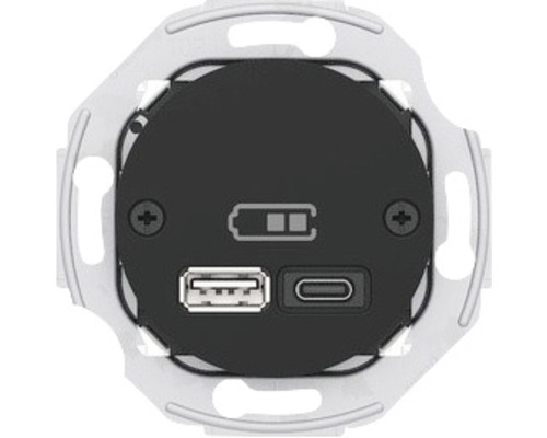 USB Laddstation SCHNEIDER ELECTRIC Renova A+C 45W svart