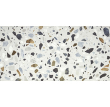 Terrazzoplattsmönster med diverse steninlägg
