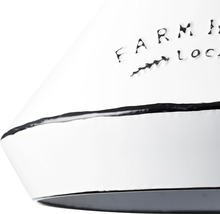 Detaljvy av en vit hänglampa med texten Farm House Local