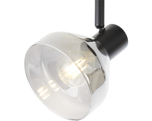 Taklampa med transparent lampskärm