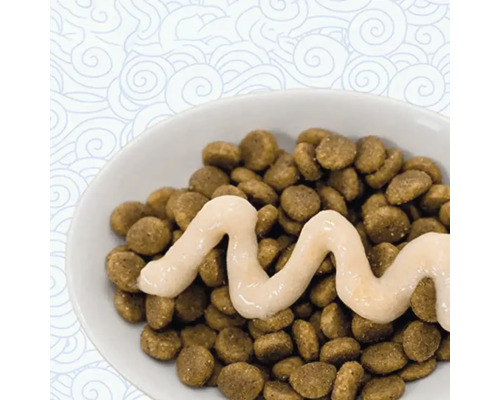 Hundmat med sås i en skål