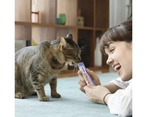 Kvinna matar katt med kattleksak