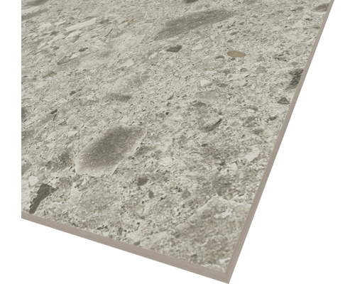 Klinker Terrazzo Ceppo di Gre Pearl grå matt 30x60 cm 
AHLV