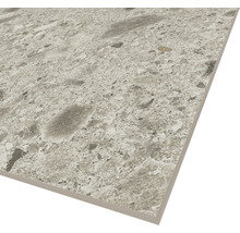 Klinker Terrazzo Ceppo di Gre Pearl grå matt 60x60x0,9 cm