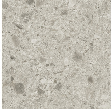 Klinker Terrazzo Ceppo di Gre Pearl grå matt 60x60x0,9 cm