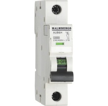 Malmbergs automatsäkring AUB6H
