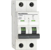 Malmbergs automatsäkring AUB6H
