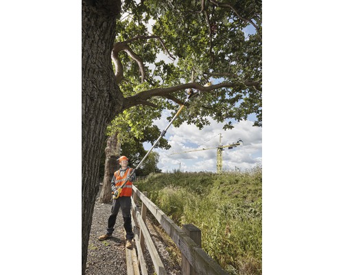 En person i skyddskläder använder en stångsåg för att skära grenar från ett träd.