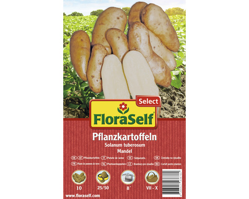 Sättpotatis FLORASELF Select Solanum tuberosum Mandel 10st